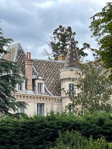 Grand Appartement D'Exception Au Chateau Randin Ecully Exterior photo